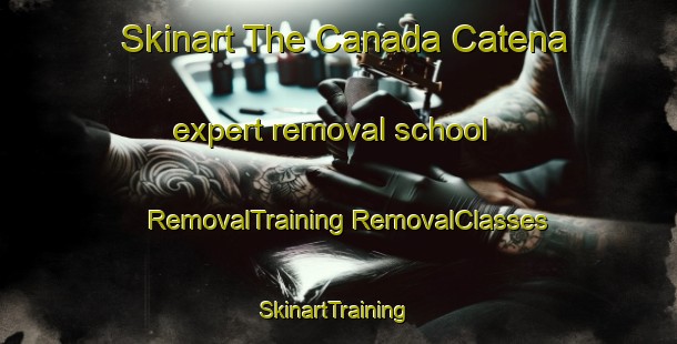 Skinart The Canada Catena expert removal school | #RemovalTraining #RemovalClasses #SkinartTraining-Spain