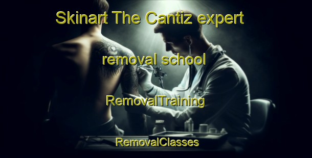 Skinart The Cantiz expert removal school | RemovalTraining | RemovalClasses | SkinartTraining-Spain