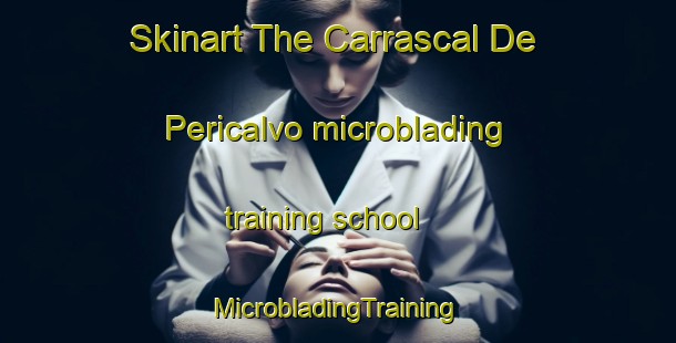 Skinart The Carrascal De Pericalvo microblading training school | #MicrobladingTraining #MicrobladingClasses #SkinartTraining-Spain