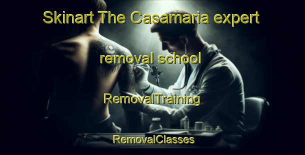 Skinart The Casamaria expert removal school | RemovalTraining | RemovalClasses | SkinartTraining-Spain