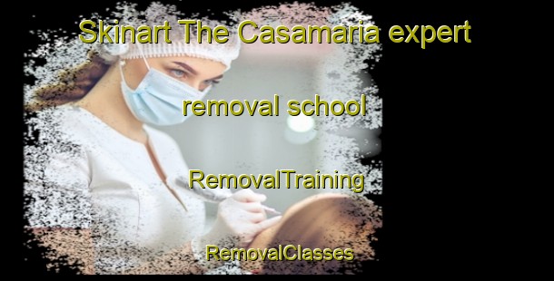 Skinart The Casamaria expert removal school | RemovalTraining | RemovalClasses | SkinartTraining-Spain