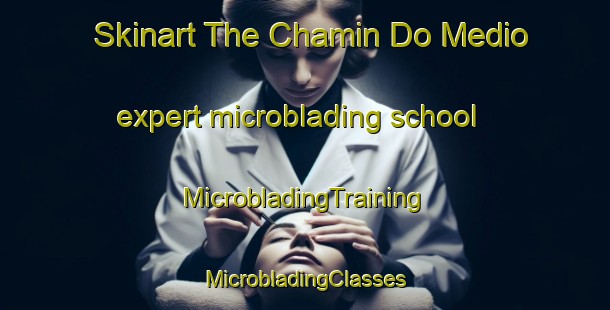 Skinart The Chamin Do Medio expert microblading school | #MicrobladingTraining #MicrobladingClasses #SkinartTraining-Spain