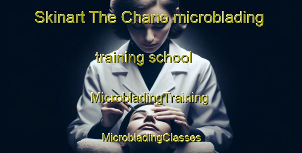 Skinart The Chano microblading training school | #MicrobladingTraining #MicrobladingClasses #SkinartTraining-Spain