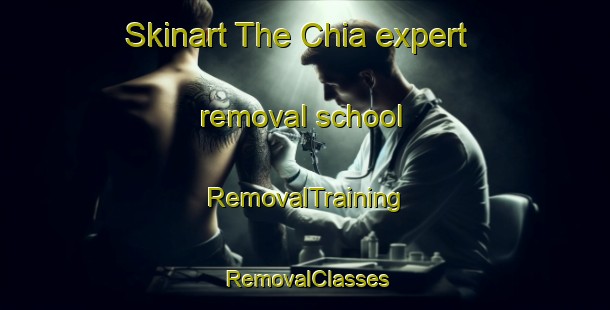 Skinart The Chia expert removal school | RemovalTraining | RemovalClasses | SkinartTraining-Spain