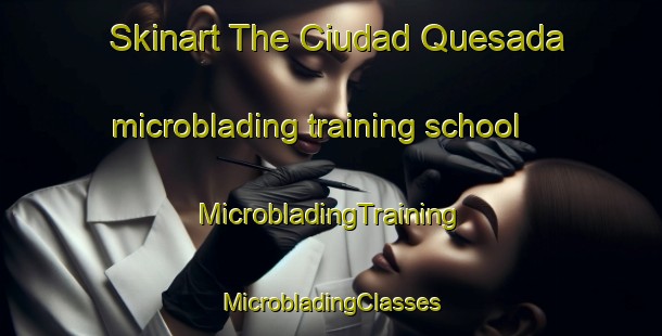 Skinart The Ciudad Quesada microblading training school | #MicrobladingTraining #MicrobladingClasses #SkinartTraining-Spain