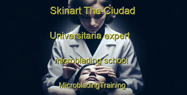 Skinart The Ciudad Universitaria expert microblading school | #MicrobladingTraining #MicrobladingClasses #SkinartTraining-Spain