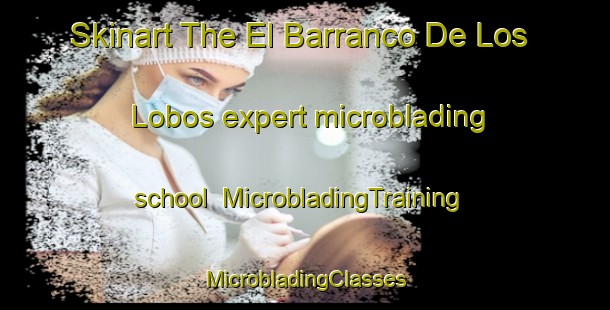 Skinart The El Barranco De Los Lobos expert microblading school | #MicrobladingTraining #MicrobladingClasses #SkinartTraining-Spain