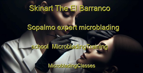 Skinart The El Barranco Sopalmo expert microblading school | #MicrobladingTraining #MicrobladingClasses #SkinartTraining-Spain