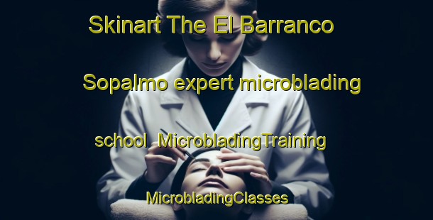 Skinart The El Barranco Sopalmo expert microblading school | #MicrobladingTraining #MicrobladingClasses #SkinartTraining-Spain