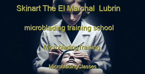 Skinart The El Marchal  Lubrin microblading training school | #MicrobladingTraining #MicrobladingClasses #SkinartTraining-Spain