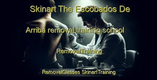 Skinart The Escobados De Arriba removal training school | #RemovalTraining #RemovalClasses #SkinartTraining-Spain