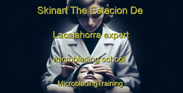 Skinart The Estacion De Lacalahorra expert microblading school | #MicrobladingTraining #MicrobladingClasses #SkinartTraining-Spain