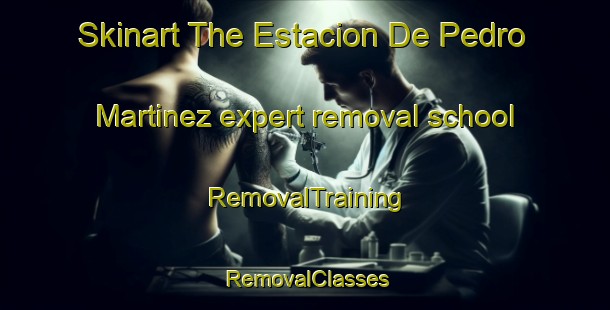 Skinart The Estacion De Pedro Martinez expert removal school | RemovalTraining | RemovalClasses | SkinartTraining-Spain