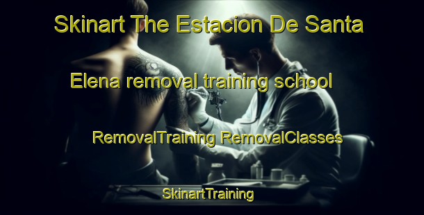 Skinart The Estacion De Santa Elena removal training school | #RemovalTraining #RemovalClasses #SkinartTraining-Spain