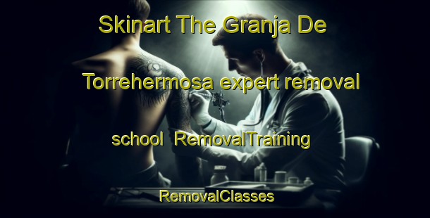Skinart The Granja De Torrehermosa expert removal school | RemovalTraining | RemovalClasses | SkinartTraining-Spain