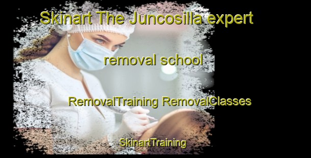 Skinart The Juncosilla expert removal school | #RemovalTraining #RemovalClasses #SkinartTraining-Spain