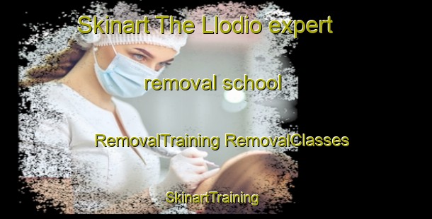 Skinart The Llodio expert removal school | #RemovalTraining #RemovalClasses #SkinartTraining-Spain