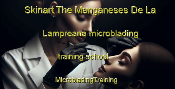 Skinart The Manganeses De La Lampreana microblading training school | #MicrobladingTraining #MicrobladingClasses #SkinartTraining-Spain