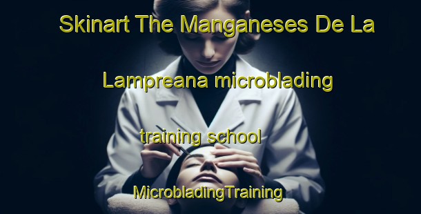 Skinart The Manganeses De La Lampreana microblading training school | #MicrobladingTraining #MicrobladingClasses #SkinartTraining-Spain