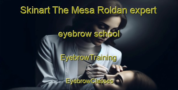 Skinart The Mesa Roldan expert eyebrow school | EyebrowTraining | EyebrowClasses | SkinartTraining-Spain