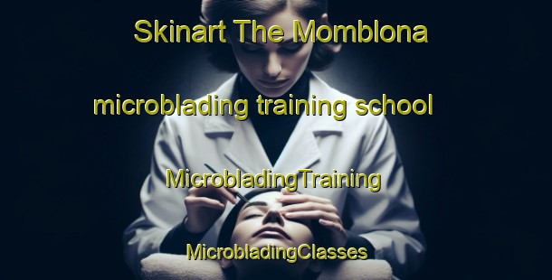 Skinart The Momblona microblading training school | #MicrobladingTraining #MicrobladingClasses #SkinartTraining-Spain