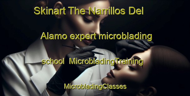 Skinart The Narrillos Del Alamo expert microblading school | #MicrobladingTraining #MicrobladingClasses #SkinartTraining-Spain