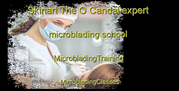 Skinart The O Candal expert microblading school | #MicrobladingTraining #MicrobladingClasses #SkinartTraining-Spain