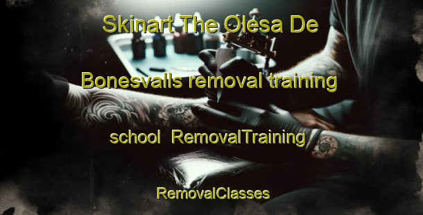 Skinart The Olesa De Bonesvalls removal training school | RemovalTraining | RemovalClasses | SkinartTraining-Spain