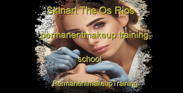 Skinart The Os Rios permanentmakeup training school | #PermanentmakeupTraining #PermanentmakeupClasses #SkinartTraining-Spain