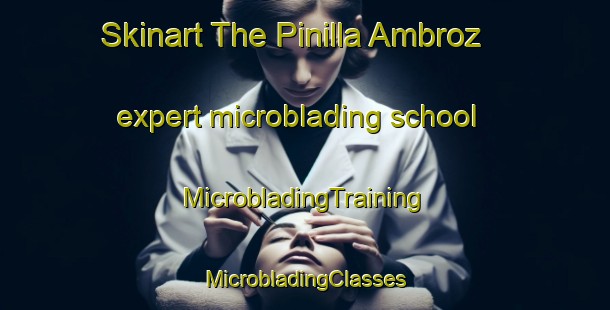 Skinart The Pinilla Ambroz expert microblading school | #MicrobladingTraining #MicrobladingClasses #SkinartTraining-Spain