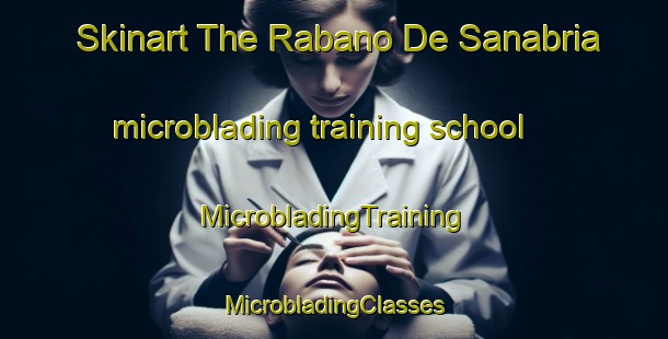 Skinart The Rabano De Sanabria microblading training school | #MicrobladingTraining #MicrobladingClasses #SkinartTraining-Spain