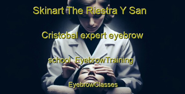 Skinart The Riestra Y San Cristobal expert eyebrow school | EyebrowTraining | EyebrowClasses | SkinartTraining-Spain