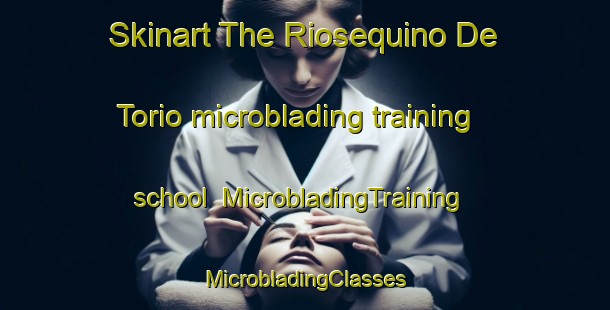 Skinart The Riosequino De Torio microblading training school | #MicrobladingTraining #MicrobladingClasses #SkinartTraining-Spain