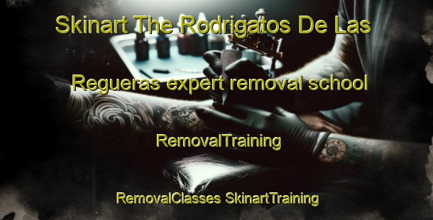 Skinart The Rodrigatos De Las Regueras expert removal school | #RemovalTraining #RemovalClasses #SkinartTraining-Spain