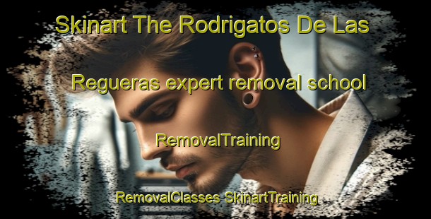 Skinart The Rodrigatos De Las Regueras expert removal school | #RemovalTraining #RemovalClasses #SkinartTraining-Spain