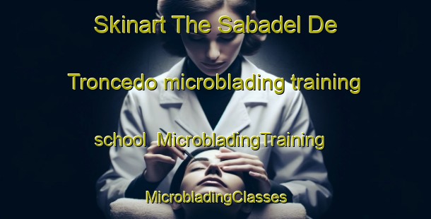 Skinart The Sabadel De Troncedo microblading training school | #MicrobladingTraining #MicrobladingClasses #SkinartTraining-Spain