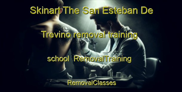 Skinart The San Esteban De Trevino removal training school | RemovalTraining | RemovalClasses | SkinartTraining-Spain
