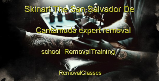 Skinart The San Salvador De Cantamuda expert removal school | RemovalTraining | RemovalClasses | SkinartTraining-Spain