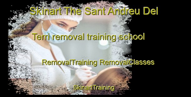 Skinart The Sant Andreu Del Terri removal training school | #RemovalTraining #RemovalClasses #SkinartTraining-Spain