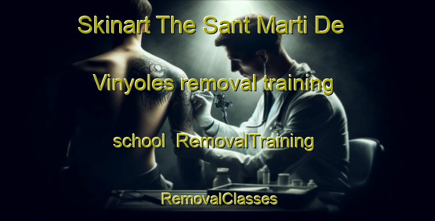 Skinart The Sant Marti De Vinyoles removal training school | RemovalTraining | RemovalClasses | SkinartTraining-Spain