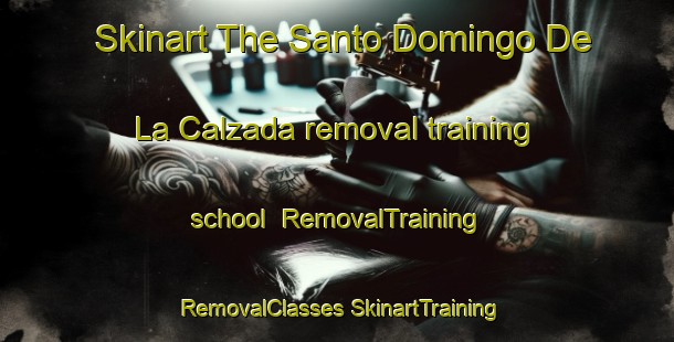 Skinart The Santo Domingo De La Calzada removal training school | #RemovalTraining #RemovalClasses #SkinartTraining-Spain