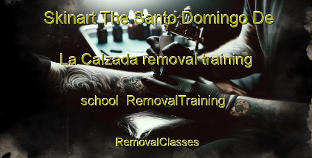 Skinart The Santo Domingo De La Calzada removal training school | RemovalTraining | RemovalClasses | SkinartTraining-Spain