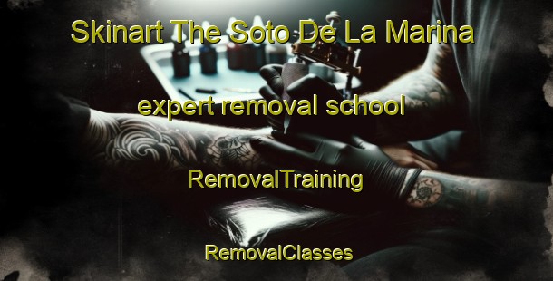 Skinart The Soto De La Marina expert removal school | RemovalTraining | RemovalClasses | SkinartTraining-Spain