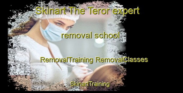 Skinart The Teror expert removal school | #RemovalTraining #RemovalClasses #SkinartTraining-Spain