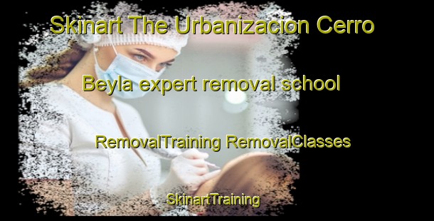 Skinart The Urbanizacion Cerro Beyla expert removal school | #RemovalTraining #RemovalClasses #SkinartTraining-Spain