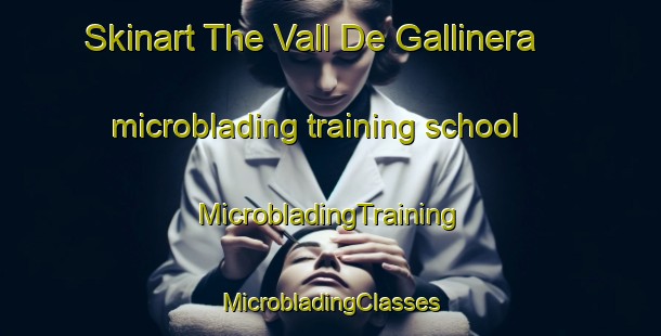 Skinart The Vall De Gallinera microblading training school | #MicrobladingTraining #MicrobladingClasses #SkinartTraining-Spain