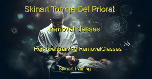 Skinart Torroja Del Priorat removal classes | #RemovalTraining #RemovalClasses #SkinartTraining-Spain