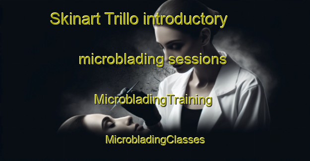 Skinart Trillo introductory microblading sessions | #MicrobladingTraining #MicrobladingClasses #SkinartTraining-Spain