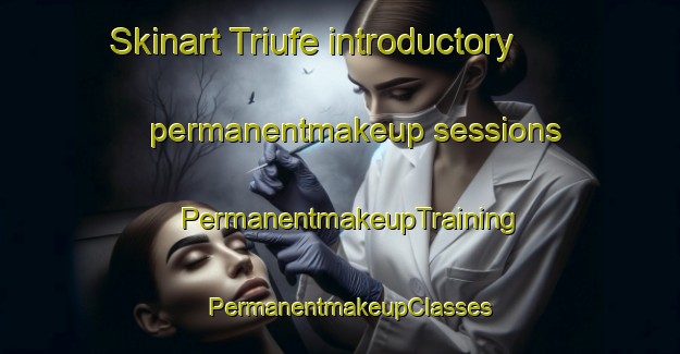 Skinart Triufe introductory permanentmakeup sessions | PermanentmakeupTraining | PermanentmakeupClasses | SkinartTraining-Spain