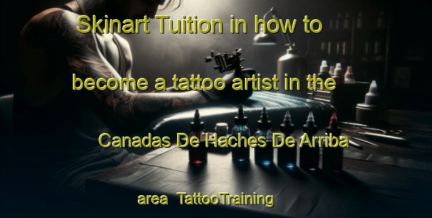 Skinart Tuition in how to become a tattoo artist in the Canadas De Haches De Arriba area | TattooTraining | TattooClasses | SkinartTraining-Spain